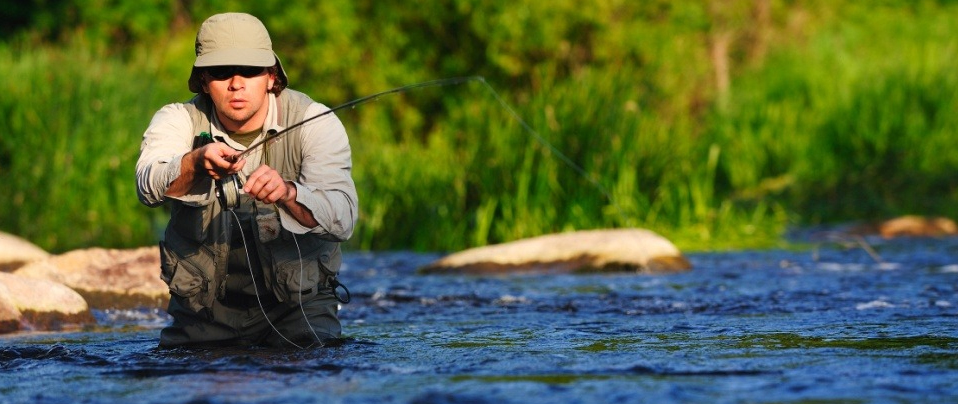 Fishing old drivers share fishing ‘cold knowledge’, recommend fishing friends collection